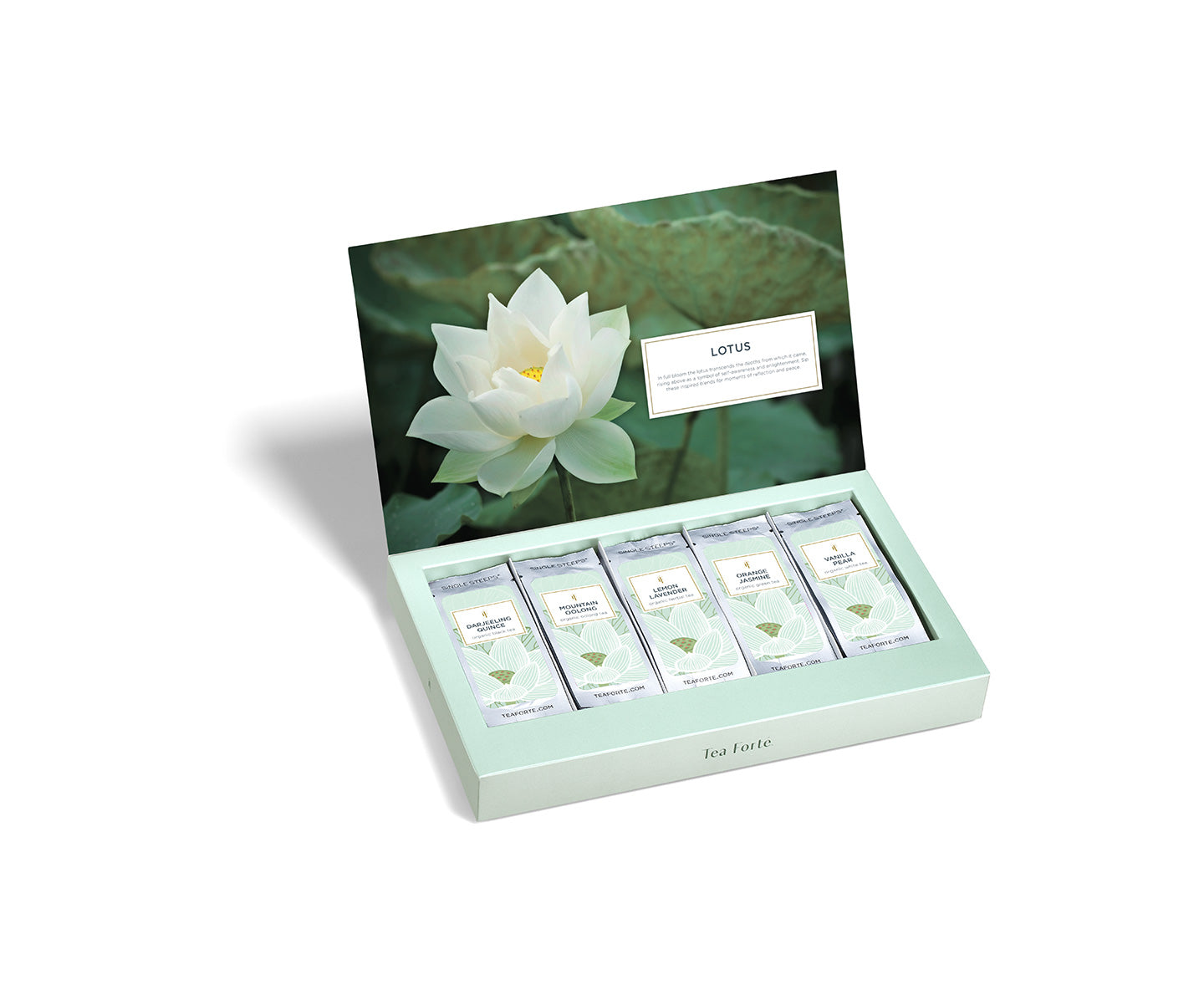 TEA FORTE SINGLE STEEPS LOTUS
