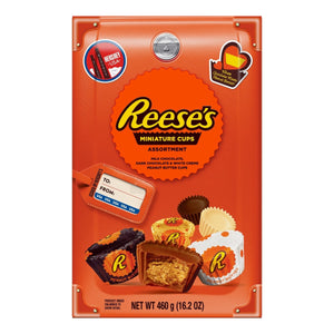 HER REESES PB CUP TRAVEL BOX 460G