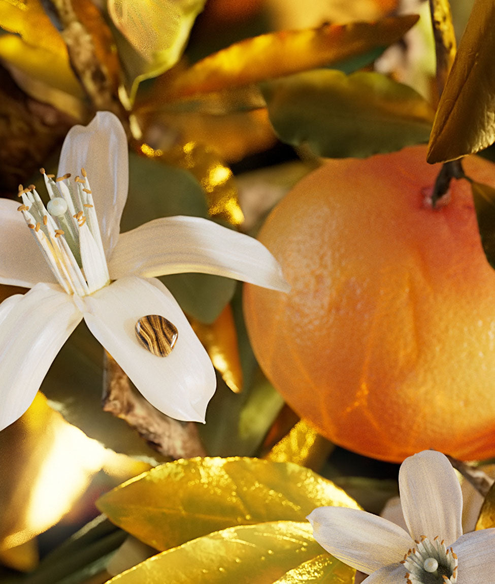 BVLGARI PARFUMS LE GEMME TYGAR EAU DE PARFUM