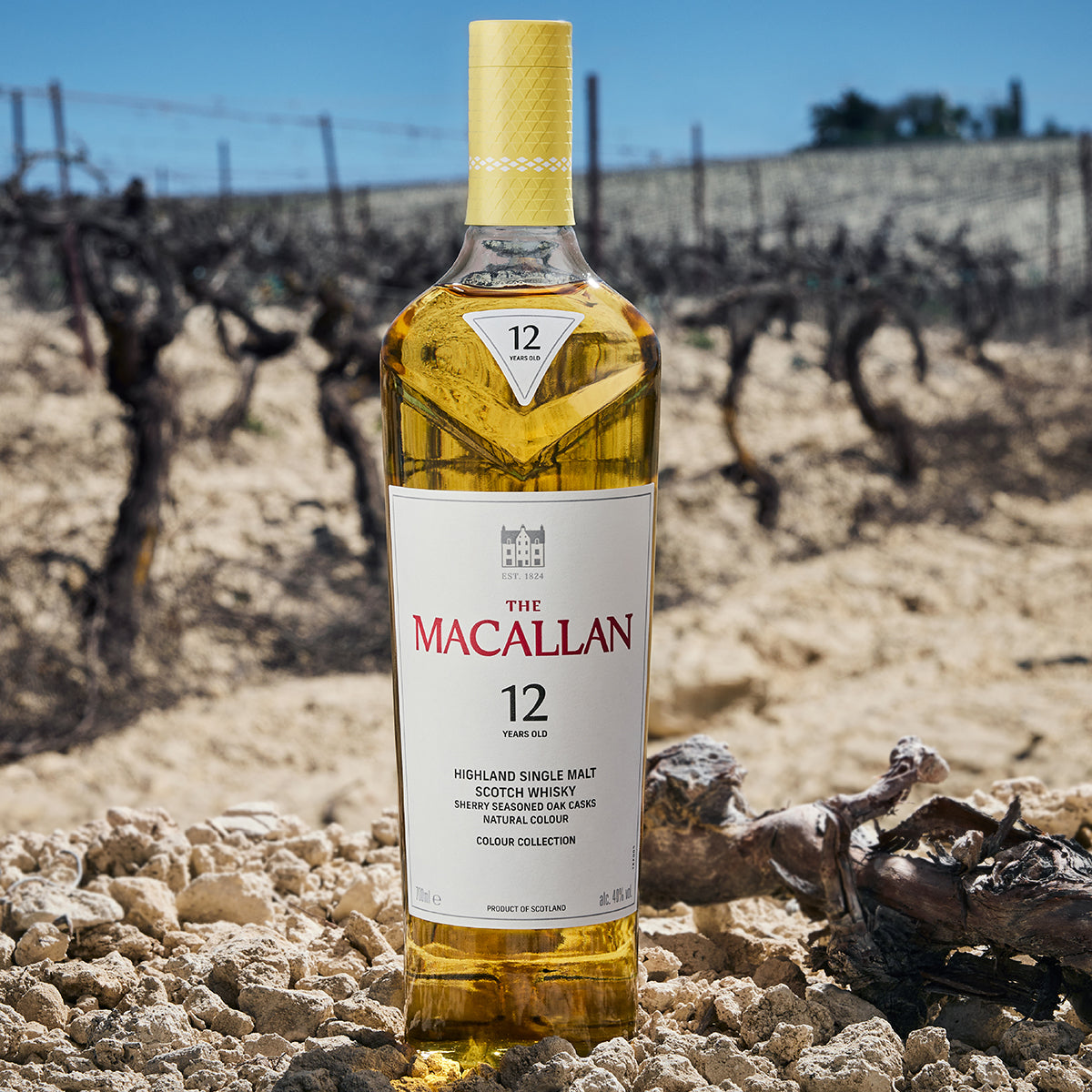 The Macallan Colour Collection 12 Years Old