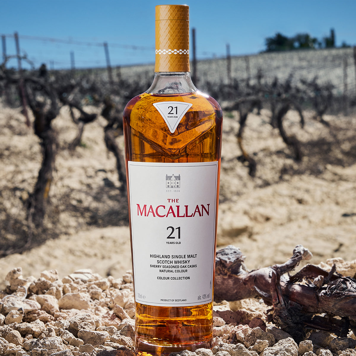 The Macallan Colour Collection 21 Years Old