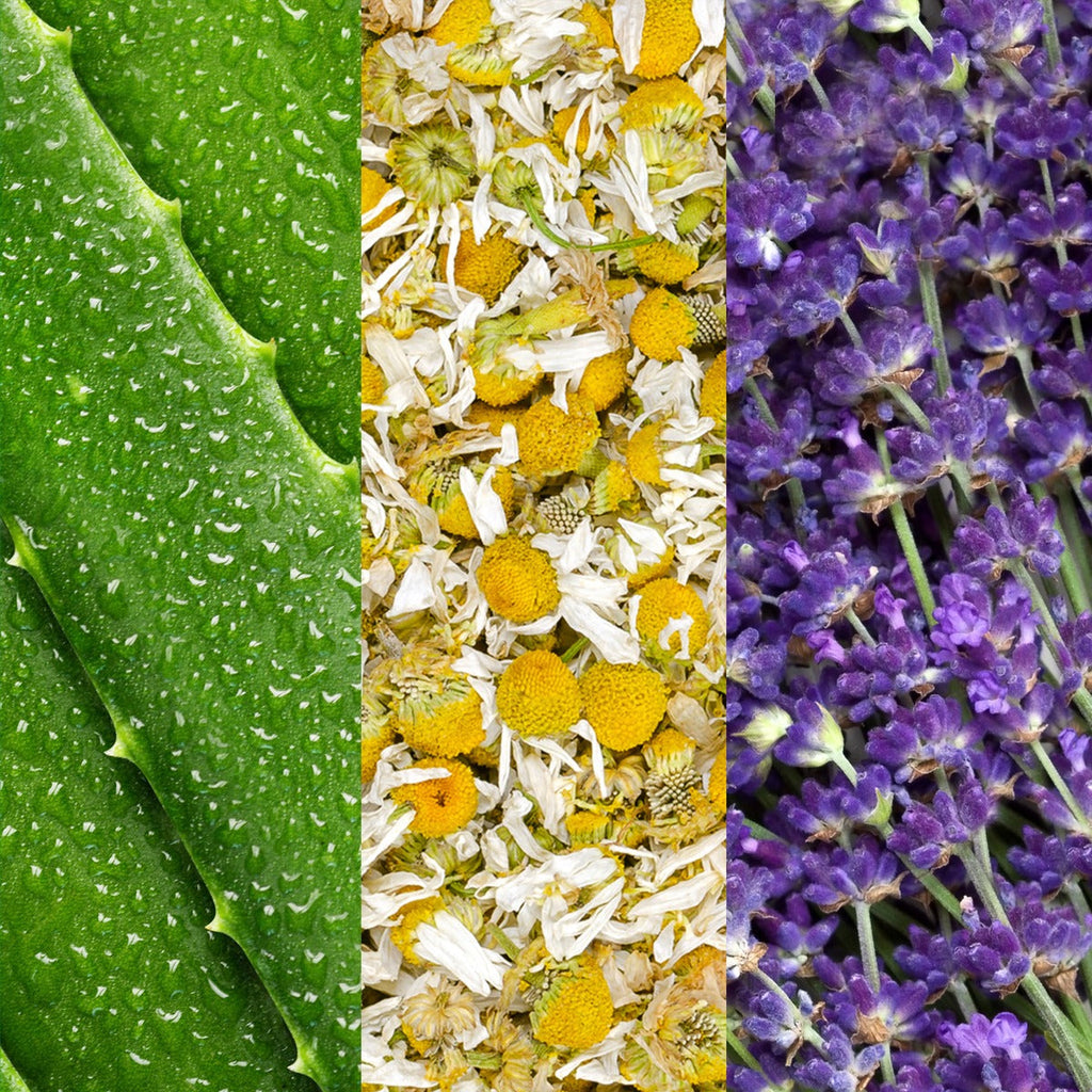 FACIAL SPRAY W/ ALOE, CHAMOMILE & LAVENDER